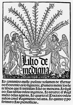 M0007989: Image from Bernard de Gordon: <i>Lilio de Medicina</i>