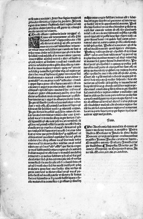 M0008062: Ketham: <i>Fasciculus medicinae</i>, 1495: last page