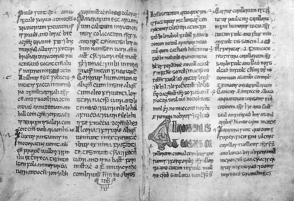 M0008074: Gaelic Medical manuscript, 15th C