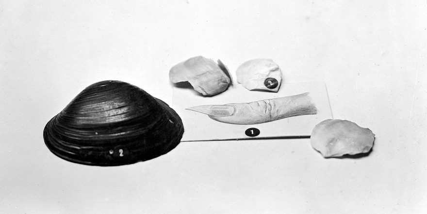 M0008172: Group of objects showing the development of the lancet