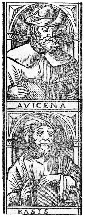 view Avicenna, detail from Canon