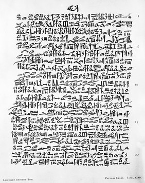 A page from the Ebers Papyrus, written circa 1500 B.C.