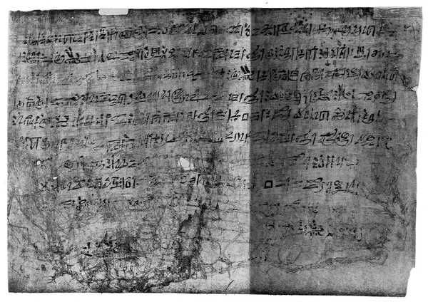 M0008456: The Berlin Papyrus (Brugsch Papyrus), 18th Dynasty