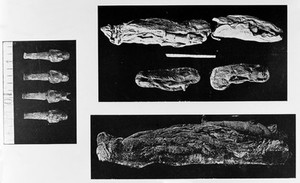 view Illustrations of processes of mummification