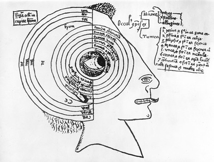 Schematic Eye in a 14th century manuscript in the British Museum.