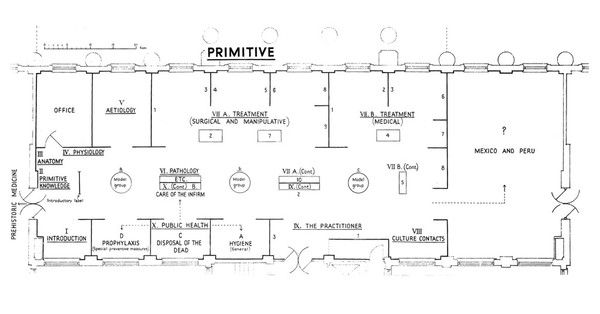 Wellcome museum: plan of Primitive Gallery, 3rd floor, north shwoing arrangement.