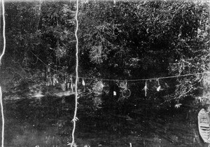 view Cupit hung across mouth of tributary stream to prohibit all comers from ascending the stream.