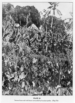 Researches in Polynesia and Melanesia : an account of investigations in Samoa, Tonga, the Ellice group, and the New Hebrides,in 1924, 1925. Parts V-VII, Relating to human diseases and welfare / by Patrick A. Buxton.