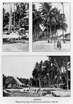 Researches in Polynesia and Melanesia : an account of investigations in Samoa, Tonga, the Ellice group, and the New Hebrides,in 1924, 1925. Parts V-VII, Relating to human diseases and welfare / by Patrick A. Buxton.