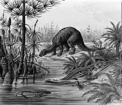 Fauna from Triassic Jurassic Period