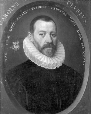 view Charles de l'Écluse or Carolus Clusius (1526 – 1609)