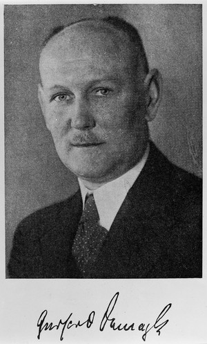 view Portrait of Gerhard Domagk