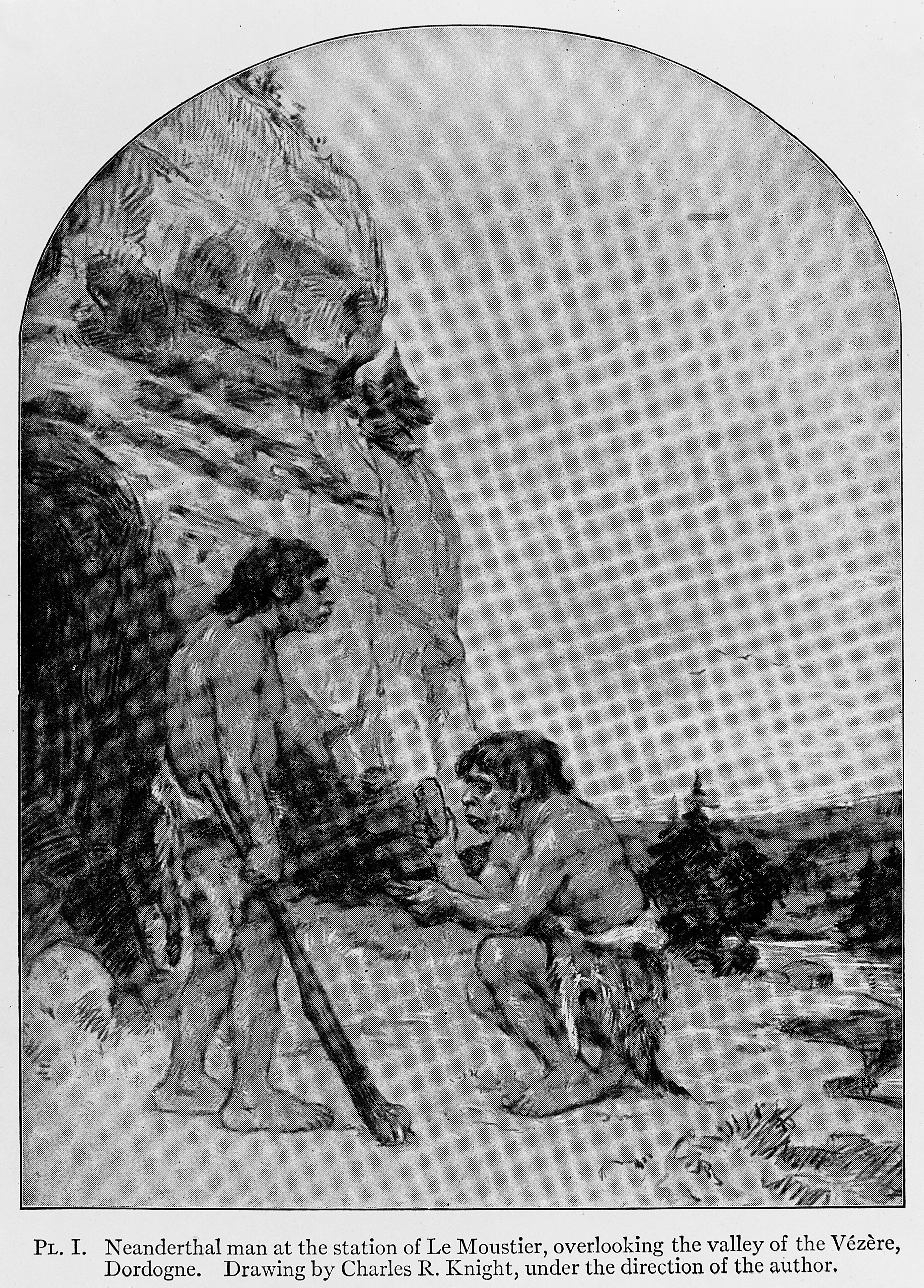 Drawing of Neanderthal Man. Collection