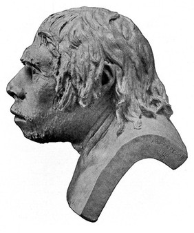 Profile; Restoration of head of Neanderthal Man.