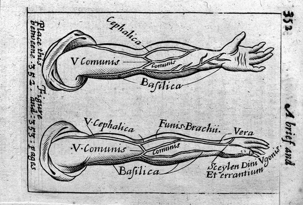 Mikrokosmographia: or, a description of the body of man: being a practical anatomy shewing the manner of anatomizing from part to part; the like hath not been set forth in the English tongue, long since composed in Latine / ... Done into English by H. Jackson.