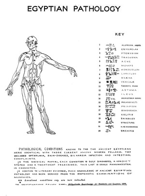 view Chart showing conditions known to ancient Egyptians.