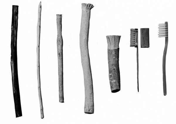 6 toothbrushes, primitive and modern.