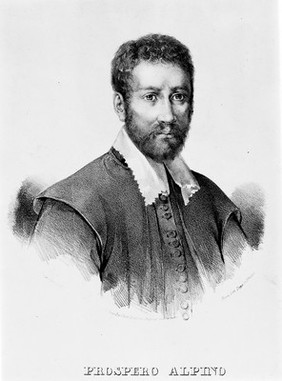 Prospero Alpino