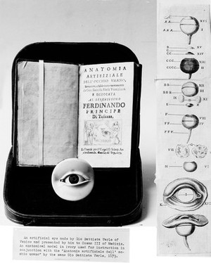 view Artificial eye made by Gio. Battista Verle of Vernice