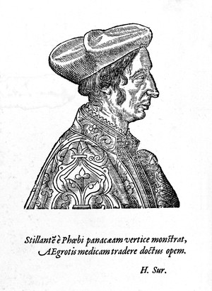 view Portrait of Jean François Fernel [1497? – 1558], a French physician