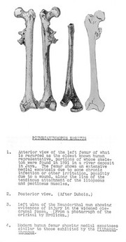 Moodie "Paleopathology", 1923