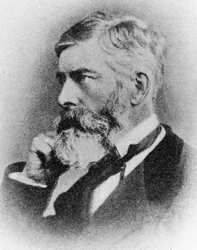 Portrait of Alexander William Williamson head and shoulders.