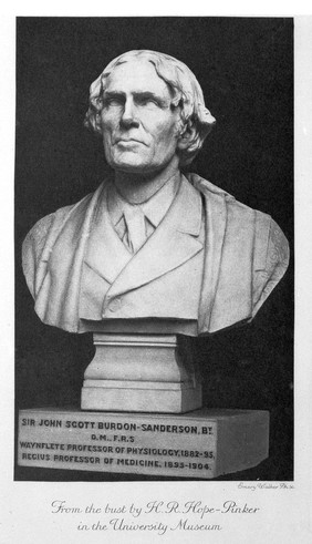 Photograph of Sir John S. Burdon-Sanderson, bust. Taken in the University Museum