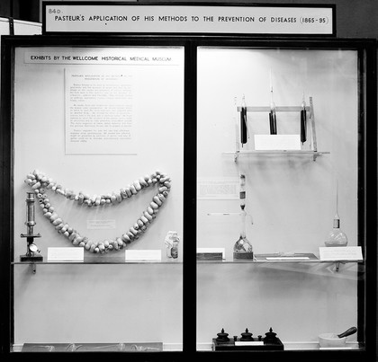 Pasteur Exhibition - Science Museum, April-May, 1947.