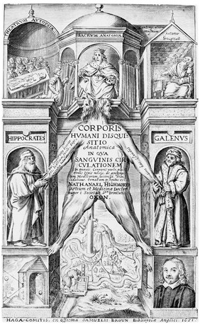 A monument within which is suspended the flayed skin of a man, with a canal system as an allegory of the circulation of blood, and other allegories of anatomy. Engraving, 1651.