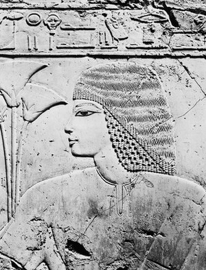 view Egypt, stype of wig, Mortuary Chapel of Ramose,1380 BC