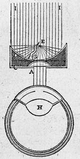 Discours de la methode pour bien conduire sa raison, et chercher la verité dans les sciences. Plus, la dioptriqve. Les meteores. Et la geometrie. Qui sont des essais de cete [sic] methode / [René Descartes].