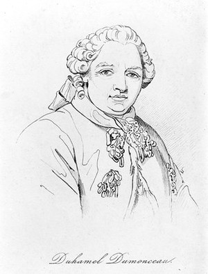 view Henri Louis Duhamel du Monceau