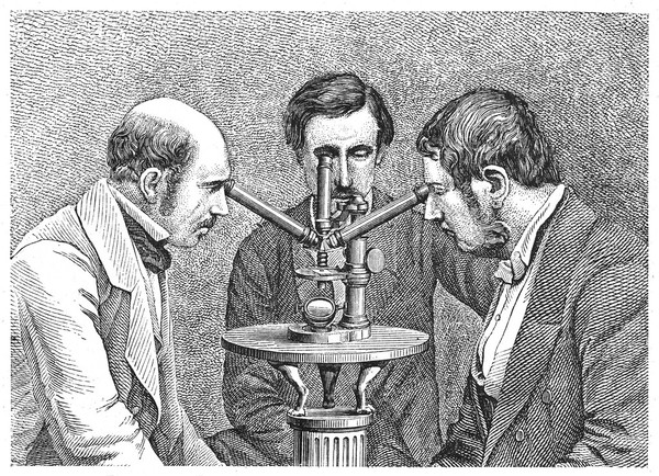 Microscope with three tubes.