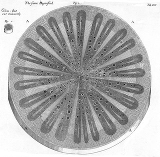 The anatomy of plants / With an idea of a philosophical history of plants. And several other lectures. Read before the Royal Society.