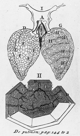 Opera omnia, figuris elegantissimis in aes incisis illustrata : Tomis duobus comprehensa. Quorum catalogum sequens pagina exhibet / [Marcello Malpighi].