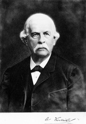 Albert von Kolliker