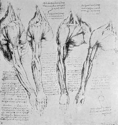 Leonardo da Vinci, the anatomist : (1452-1519) / by J. Playfair McMurrich.