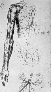 Leonardo da Vinci, the anatomist : (1452-1519) / by J. Playfair McMurrich.