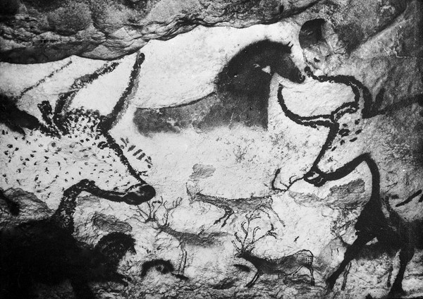 Cervids painted on cave wall and Caervids, bovids and horses