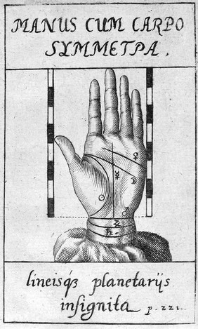 Anthropometria, sive de mutua membrorum corporis humani proportione, et naevorum harmonia libellus / [Johann Sigismund Elsholtz].