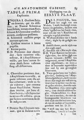 Anatomical drawings of the eye. Description of plate facing page 85, shown in M0011086.