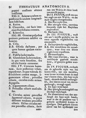 view Anatomical drawings of the eye. Description of plate facing page 85, shown in M0011086.