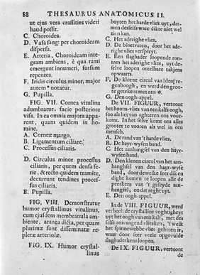 Anatomical drawings of the eye. Description of plate facing page 85, shown in M0011086.