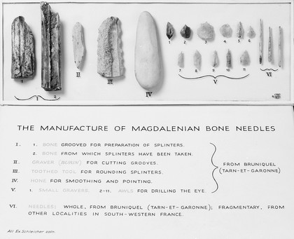 The manufacture of Magdalenian bone needles. Showing the bone from which splinters have been taken, gravers, hone, toothed tool for rounding splinters, and finished needles.