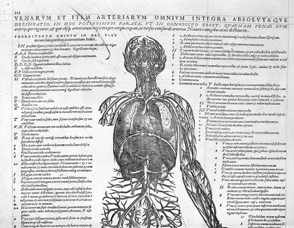 Tabula of veins (upper half), by Vesalius.