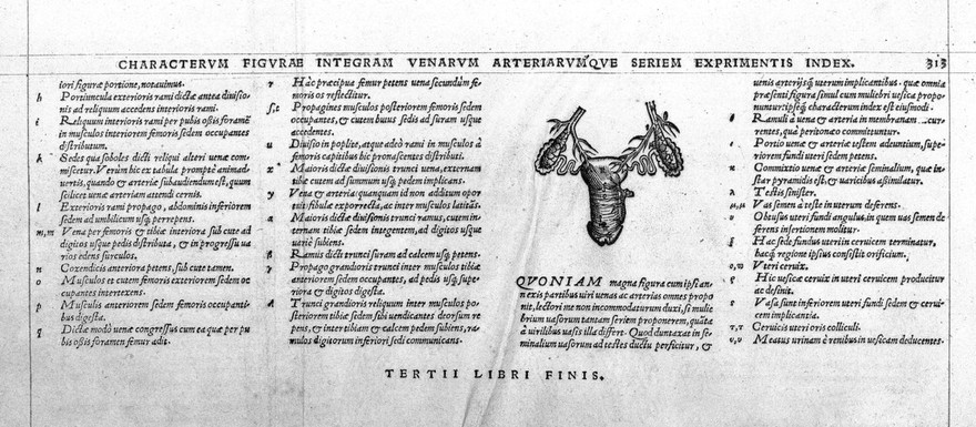 Tabula of veins, by Vesalius.