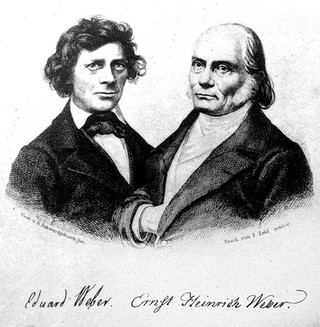 Some apostles of physiology : being an account of their lives and labours, labours that have contributed to the advancement of the healing art as well as to the prevention of disease / by William Stirling.