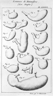 Leçons d'anatomie comparée / de G. Cuvier, recueillies et publiées sous ses yeux par C. Duméril [- G.L. Duvernoy].