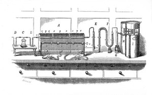 view Liebig's apparatus for organic analysis. 19th C