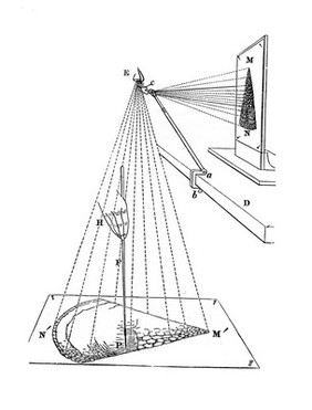 A practical treatise on the use of the microscope : including the different methods of preparing and examining animal, vegetable, and mineral structures / by John Quekett ; illustrated with eleven plates and upwards of three hundred wood engravings.